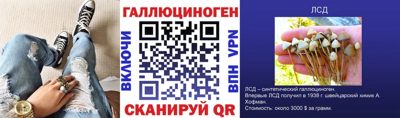 Псилоцибиновые грибы GOLDEN TEACHER  Павловская 