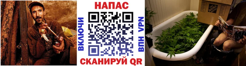 ОМГ ОМГ   Павловская  Бошки Шишки Amnesia 